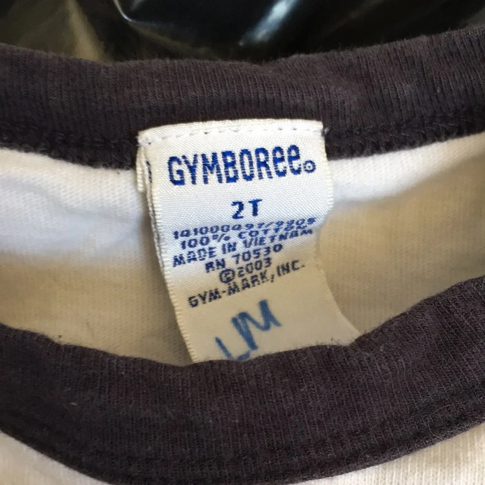 Little boys long sleeved Gymboree tee 2t